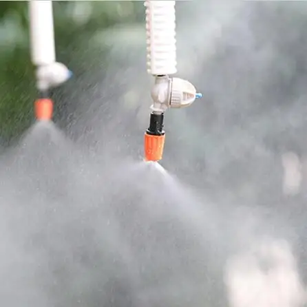 QQ截图20200506213925