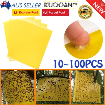 

20cmx15cm 50/100PC Yellow Sticky Glue paper Insect Trap Catcher Killer Fly Aphids Wasp Bulk Pack AU