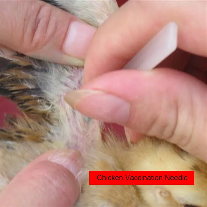 500 pcs Chicken Vaccination Needle Chicken nose vaccination Poultry feeding tools Vaccine syringe Chicken coop wholesale