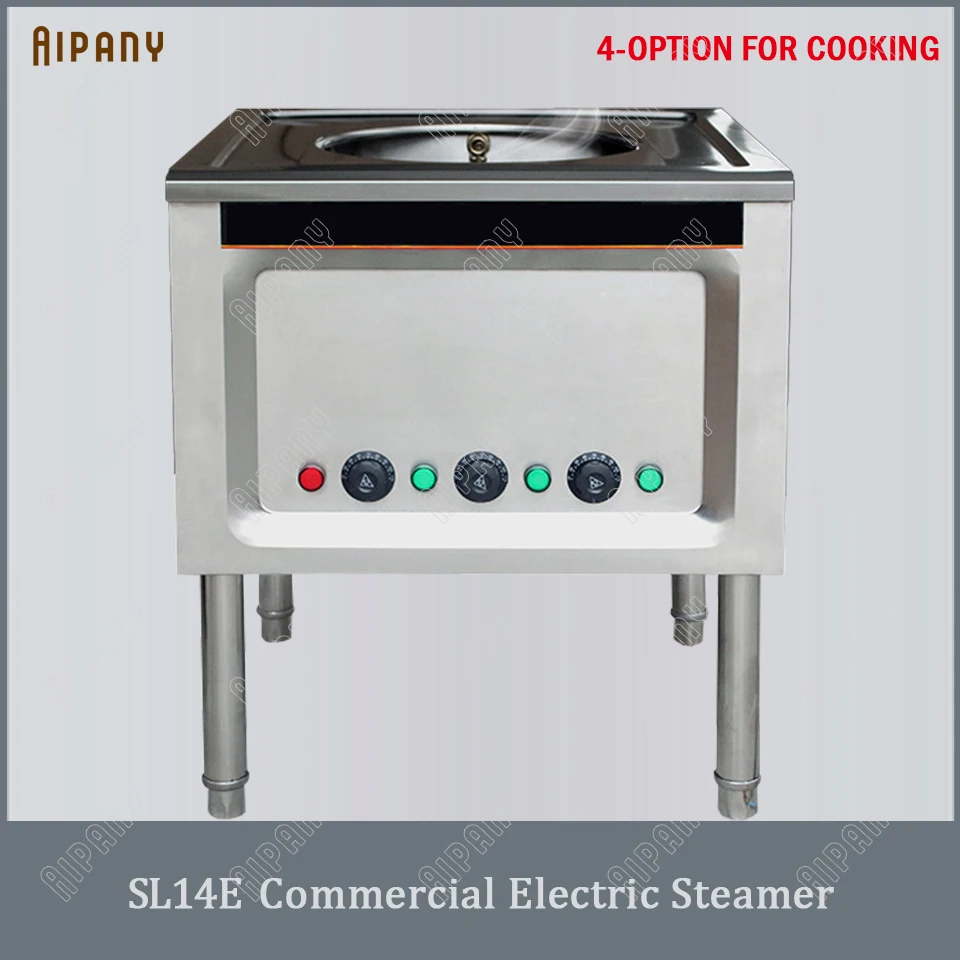 big electric steamer
