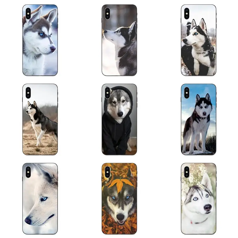Новый Сибирского Хаски для Huawei Honor 5A 6A 6C 7A 7C 7X 8A 8C 8X9 10 P8 P9 P10 P20 P30 Мини Lite Plus Мягкий