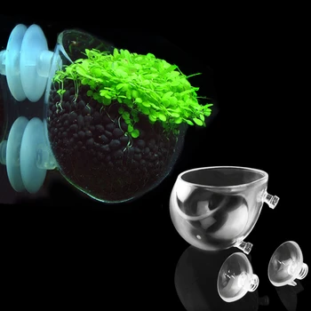 

Crystal Glass Pot Cup For Aquarium Plant Decoration Fish Tank Grass Water Weed Planting Cylinder Cup Aquarium Accessories