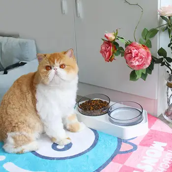 

Adjustable Neck Guard Dual Bowl with Hexagonal Base for Pet Cats Dogs Feeding Drinking