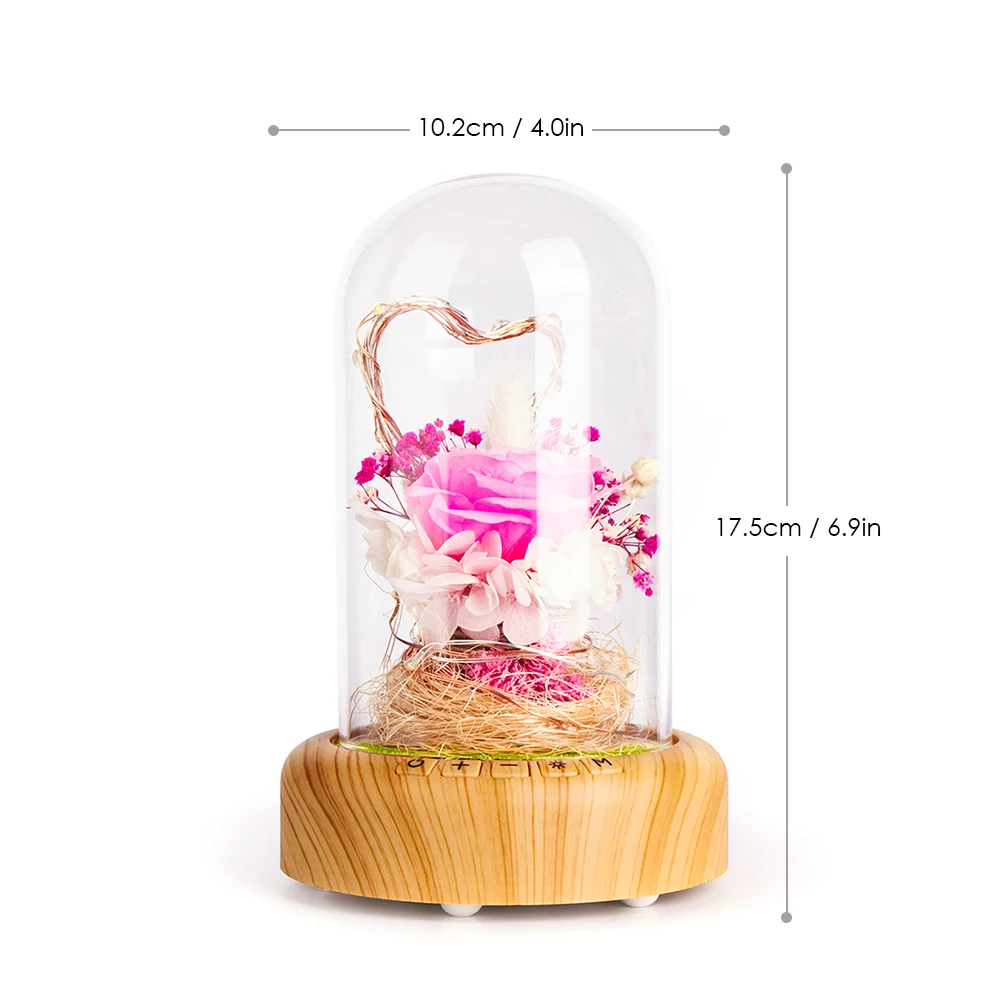

Hot 3 Style Flower Lamp BT Speaker 3 Color Effects Nightlight LED Strip with Glass Dome Wood Base Rechargeable for Valentine's D