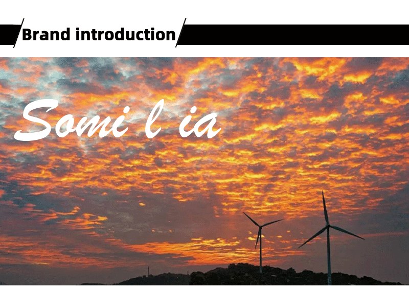 Somi l ia 100% 925 Sterling Silver 30-50mm Big Circle Hoop Earring for Woman Fashion Simple Classic 925 Silver Fine Jewelry Gift