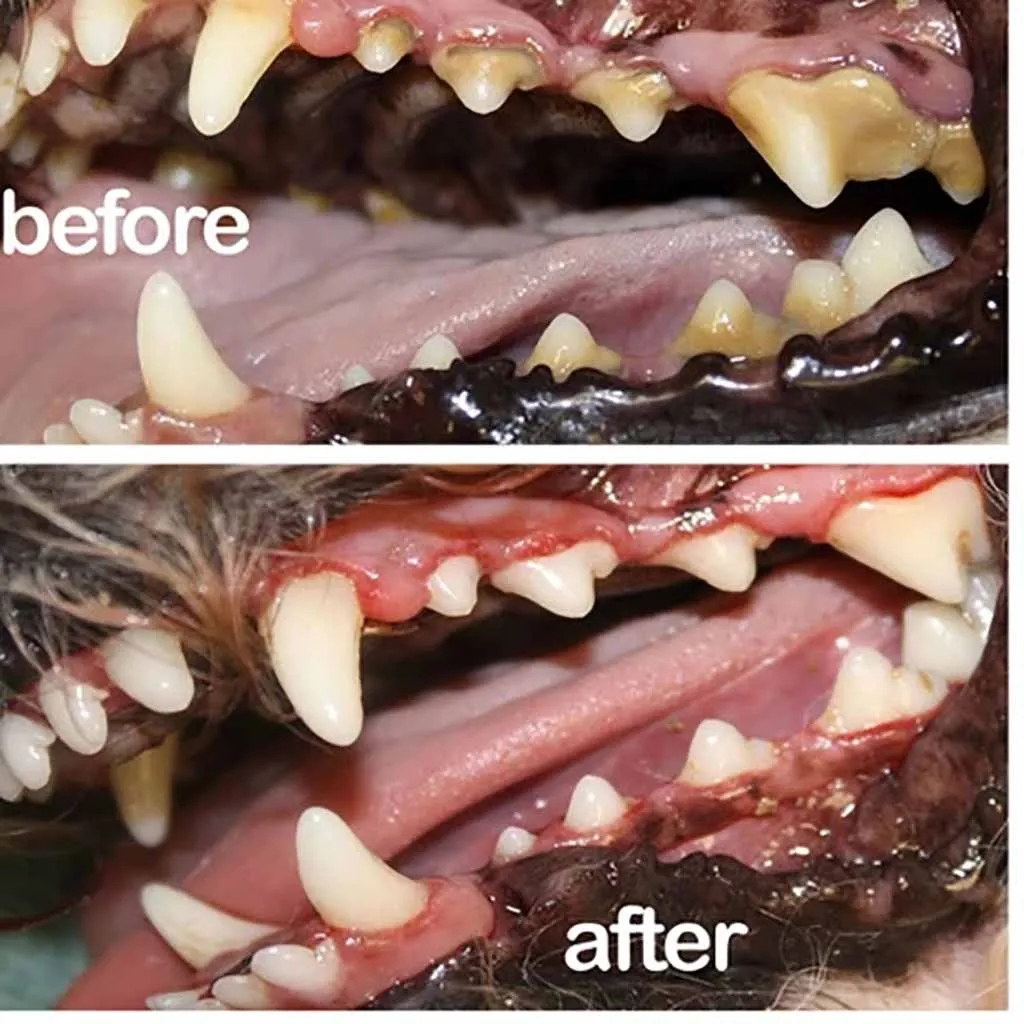 ПЭТ освежитель полости рта спрей для собак полоскание рта свежий Воздухоочиститель для зубов нетоксичный Стоматологическая забота здоровая Чистка рта собаки# QQ