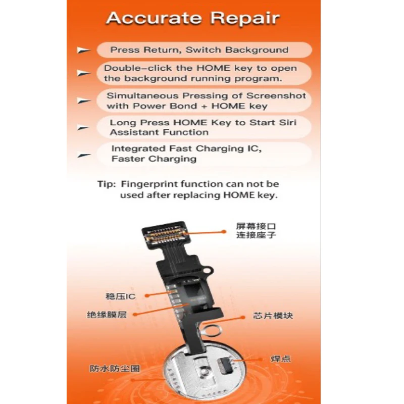 未标题-1 拷贝-04