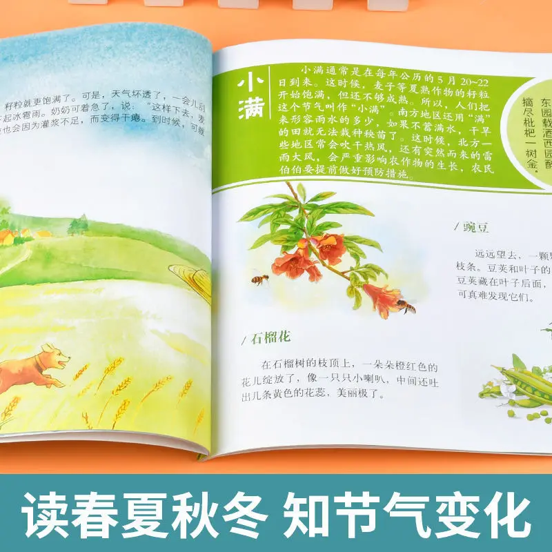 Рисунок 3 - 8 томов энциклопедии популярной науки для детей