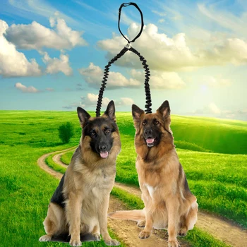

Double Lead Pet Leash Walking 2 Dogs Traction Rope Pet Lead Leash Splitter Elastic Bungee Pet Coupler Dog Leash Pet Supplies