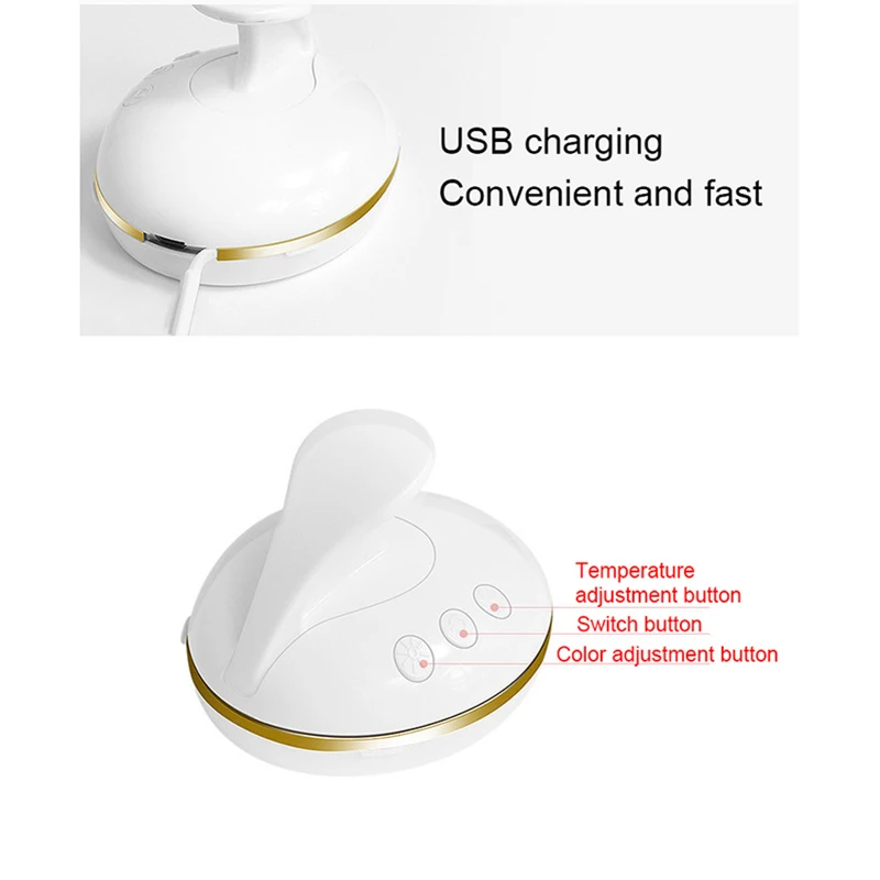  Mesotherapy Skin Care Face Massager Electroporation EMS RF LED Photon IPL Handheld Rejuvenator Vibr - 4000433620688