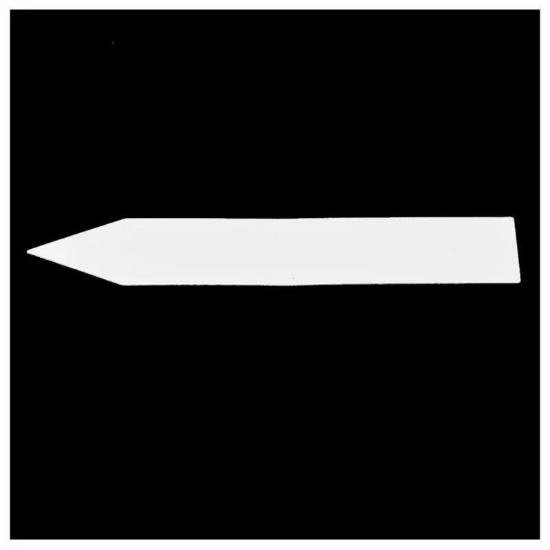 CSS 100 шт пластиковые этикетки для семян растений, горшок, маркер, детская садовая бирка 10 см х 2 см(белый