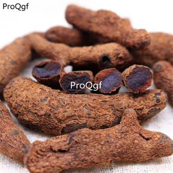 

Ngryise 100Gram A Set Polygonum amplexicaule