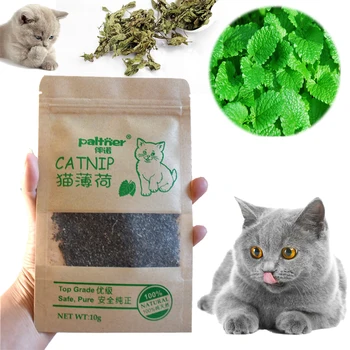 

Cat Toys Catnip Organic 100% Natural Cat Mint Grass Menthol Funny For Kitten Pet Cat Healthy Safe Edible Treating Pet Products