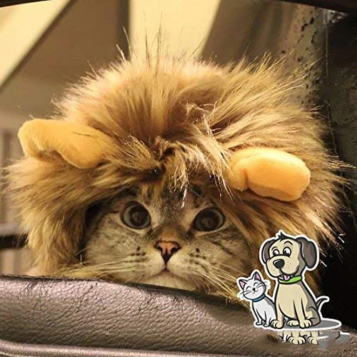 Костюм для кошки Sandy Floyd Lion Mane