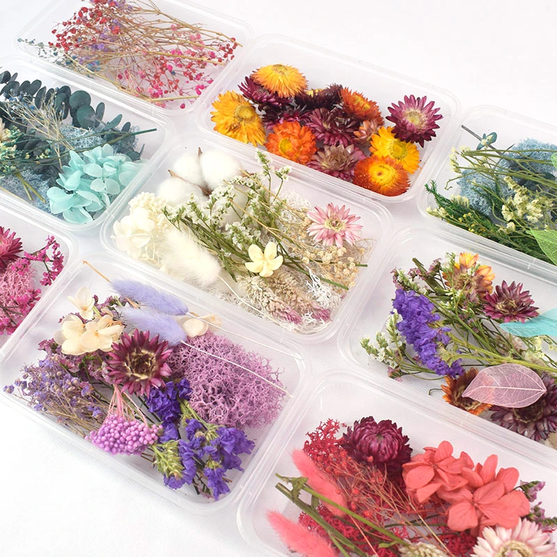 アロマテラピー用の本物のドライフラワー植物 エポキシ樹脂ペンダント ネックレス 手作りのジュエリーアクセサリー 1箱 Artificial Dried Flowers Aliexpress アロマテラピー用の本物のドライフラワー植物 エポキシ樹脂ペンダント ネックレス 手作りのジュエリーアクセサリー 1箱 Artificial Dried Flowers Aliexpress