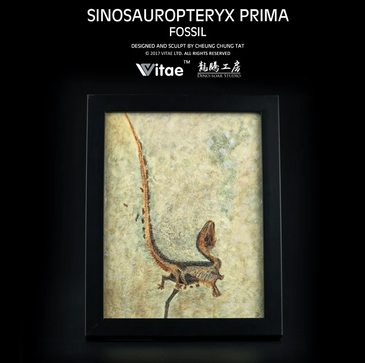 TB2_lGQXeuSBuNjy1XcXXcYjFXa_!!1728420012