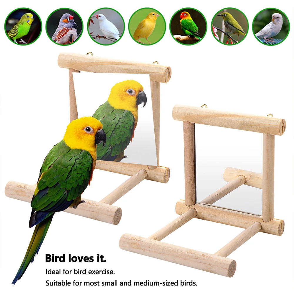 Bird Mirror with Wooden Perch Interactive Hanging Toy for Parrot Budgie