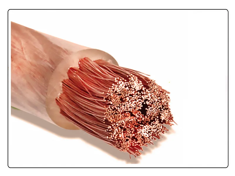 High Quality Renovação da Casa