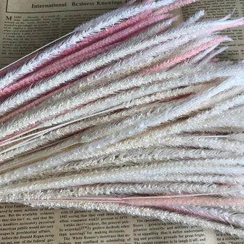 

35-40CM/The Ear of 10-25CM Dried Natural Flowers Eternelle Hypericum Japonicum Branch,Dry Plants Goldenrod Grass For Home Decor