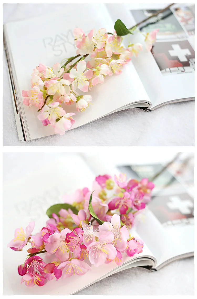 4404873879_516171610