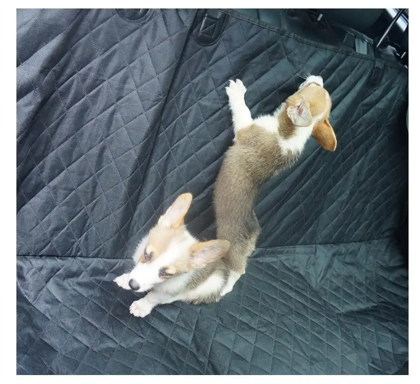 QQ截图20200916090432