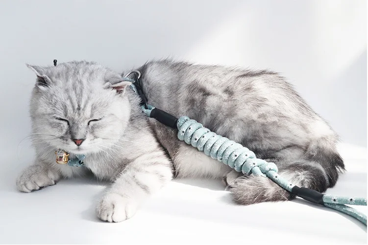 

Cat leash rope cat chain cat rope pet chest strap suit fashion style cat leash rope cat artifact pet supplies