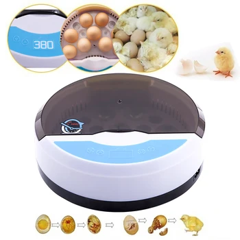 

Full Automatic Digital Incubator Farm Brooder Hatchery Machine 9 Egg LED Temperature Humidity Controller Chicken Duck Bird Quail