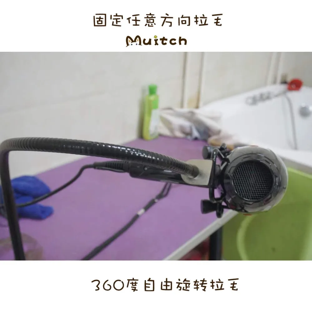 10770582562_1225199439