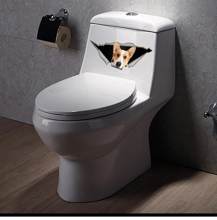 HTB1..r2adzvK1RkSnfoq6zMwVXai