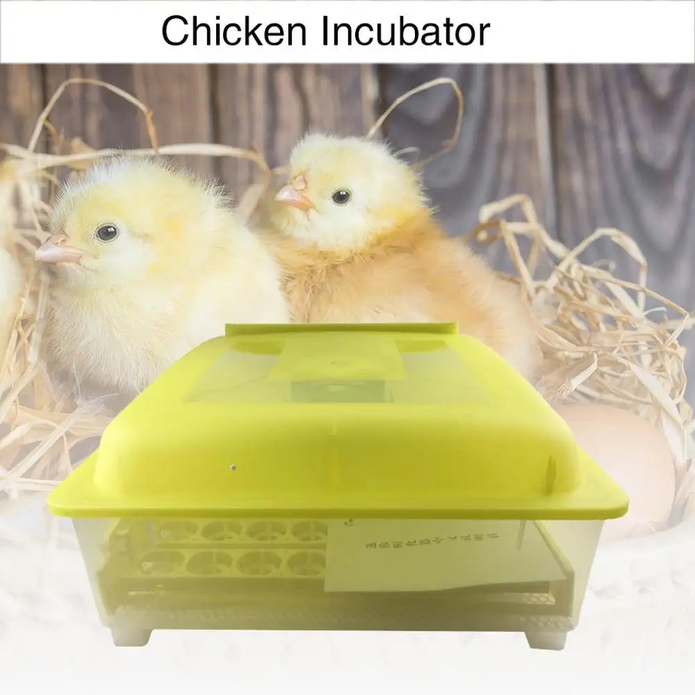 

Incubator with Power Supply EW-56 Automatic Hatcher Chicken Duck Goose Bird Hatcher Animal Husbandry 56Eggs