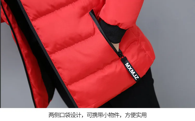 Winter Short Color Large Fur Collar Cotton-padded Clothes Women's Slimming Cotton Coat Winter New Style Small Cotton-Padded