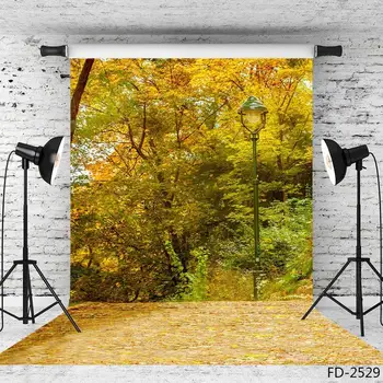 

Autumn Fall Forest Park Fallen Leaves Path Leaf Road Backdrop Vinyl Cloth Photography Background Wedding Baby Photo Studio Props