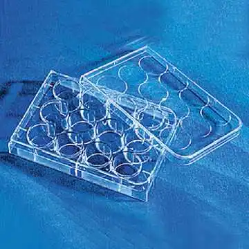 

12-well transparent standard plate, TC surface, sterilized, individually packaged, 1 pack/pack, 50 packs/carton