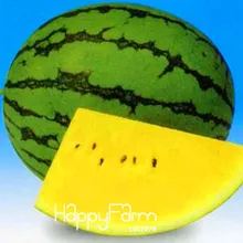 Новое поступление! 50 plantas/упаковка желтая мякоть арбуз бонсай в горшках фрукты посадки арбуз Флорес для дома и сада,# 2MM37K