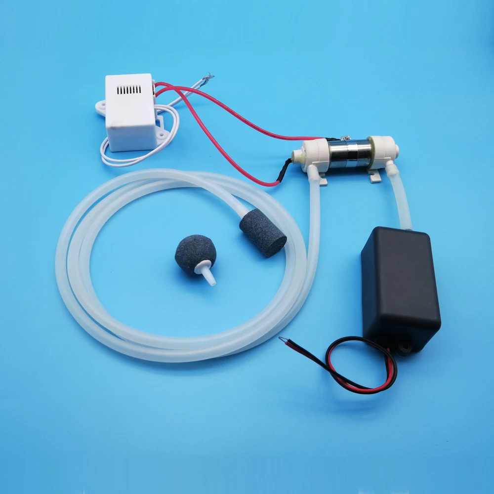 110V with accessory Новое поступление! AC 110 V/220 V 300mg трубчатый генератор озона Сделай Сам озоновый водный Стерилизатор озонатор дезинфектор - Цвет: 110V with accessory