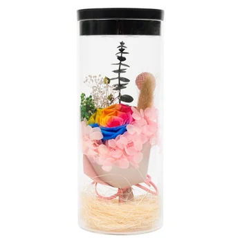 

Behogar Artificial Rose in the Glass Bottle Touch Sensor Night Light Gifts for Valentines Day Birthday Thanksgiving Mother Day