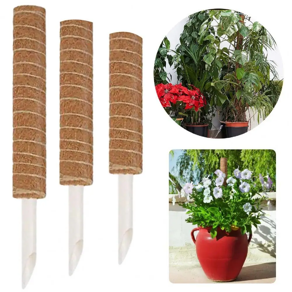 

Plant Support Pole Cylinder Shape Plant Support Stake Coir Easy Installation Useful Monstera Pothos Plant Trellis