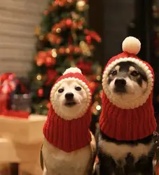 Шерстяная шапка для домашних животных, кошек, собак, Disfraz Santa Navidad Gorro Navidad Perro Papai Noel Fantasia, зимние шапки для собак DD6D118