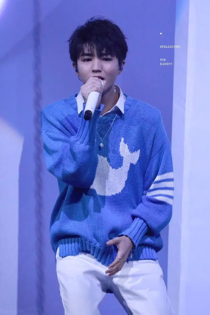 TFBOYS Wang Junkai стиль для женщин и мужчин кит дельфин синий свитера пуловеры для студентов зимний женский полувер одежда