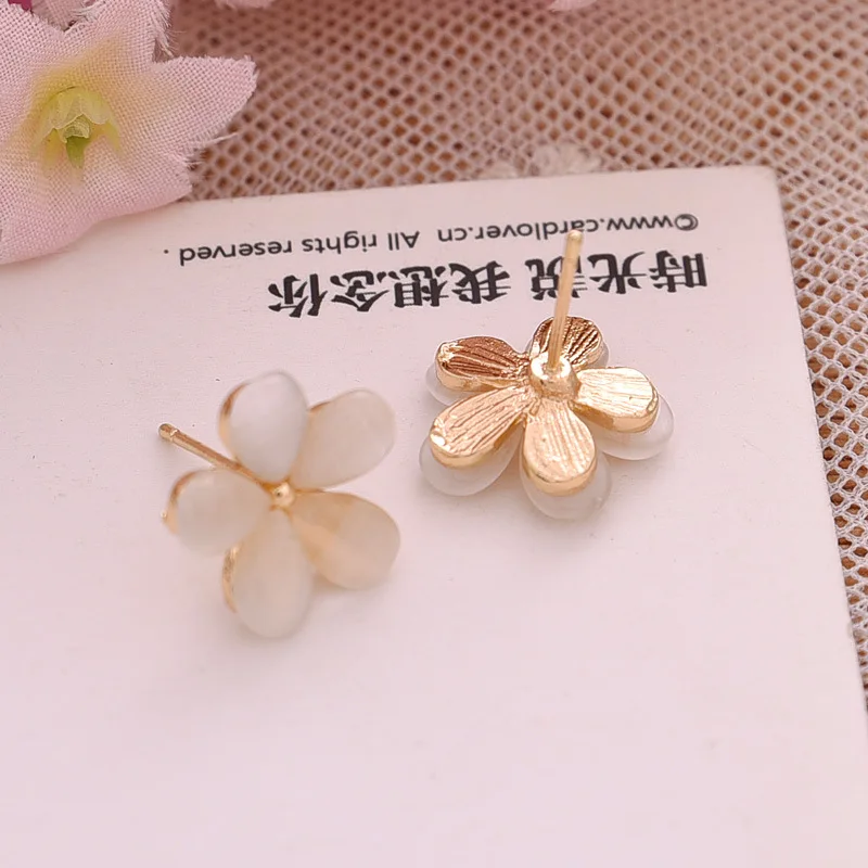 2672441013_1327870113