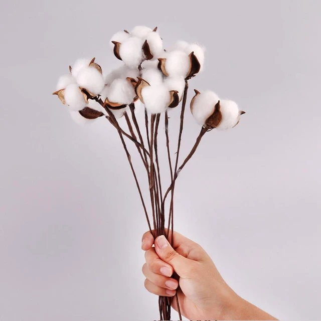 Natural Dried Flowers Decoration  Branches Artificial Decoration - 1  Natural Branch - Aliexpress