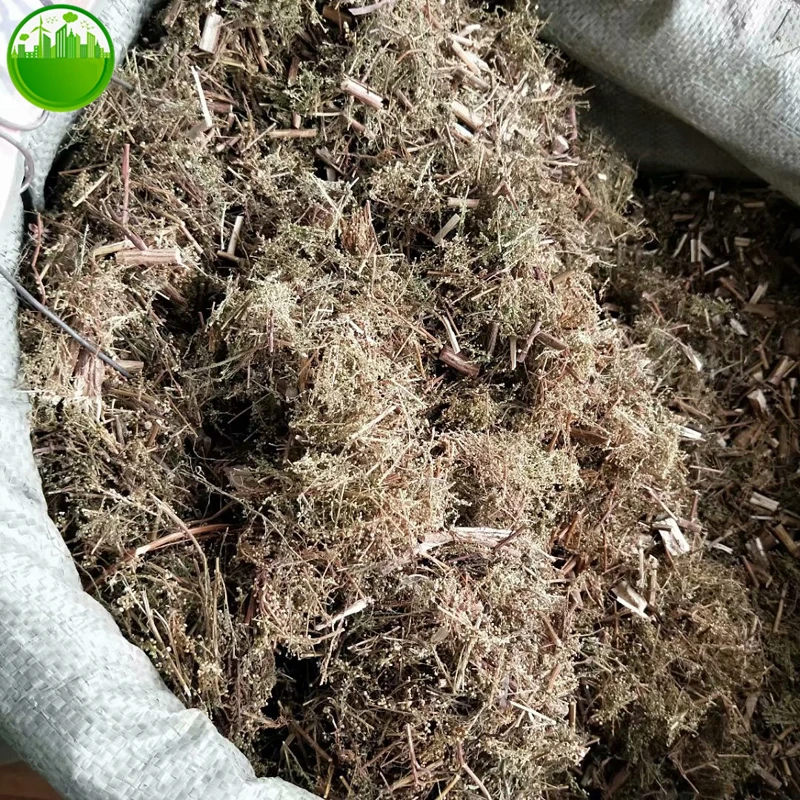 Artemisia Annua Artemisia Odora Dry Leaves Improve Kidney Function