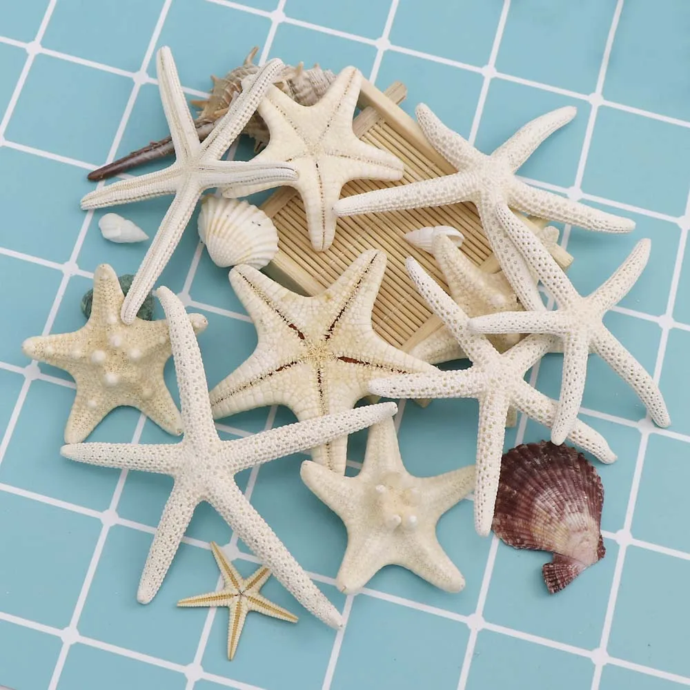 

5~7cm 1-6Pcs White Starfish Craft Decoration Natural Finger Sea Star Wedding Decor Seashells Seafish Party Beige Seastar Crafts