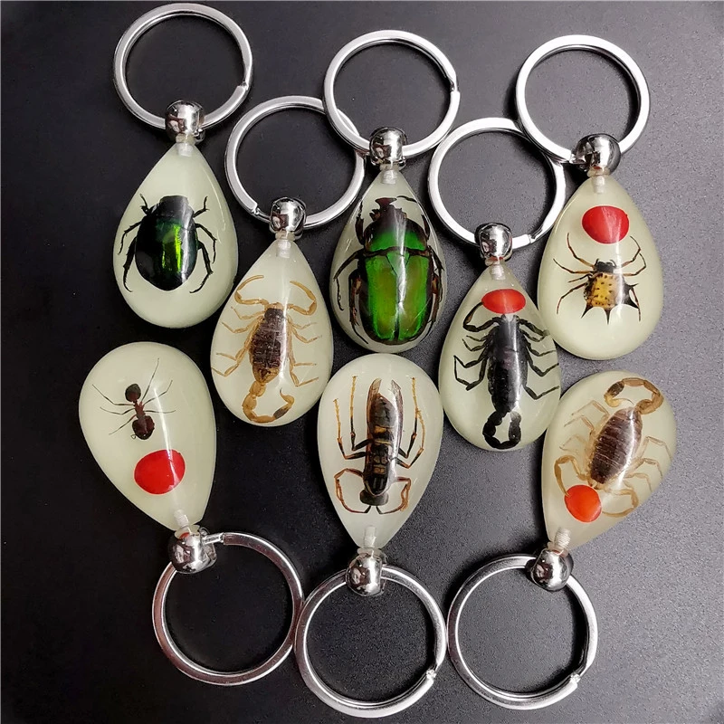 Fashion Amber Resin Keychain Real Insect Scorpion Ants Noctilucent