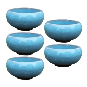 

5pcs Mini Exquisite Gift Ceramic Flower Can Succulent Plant Flowerpot Home Office DIY Decoration Garden Supplies