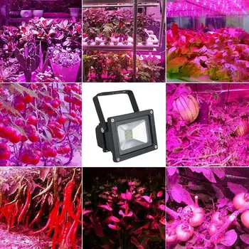 

COB Light COB Chip Light 10W Driver Supply Source Transformer Spotlight Floor Lights DIY LED COB Chip High Brightness 1Set