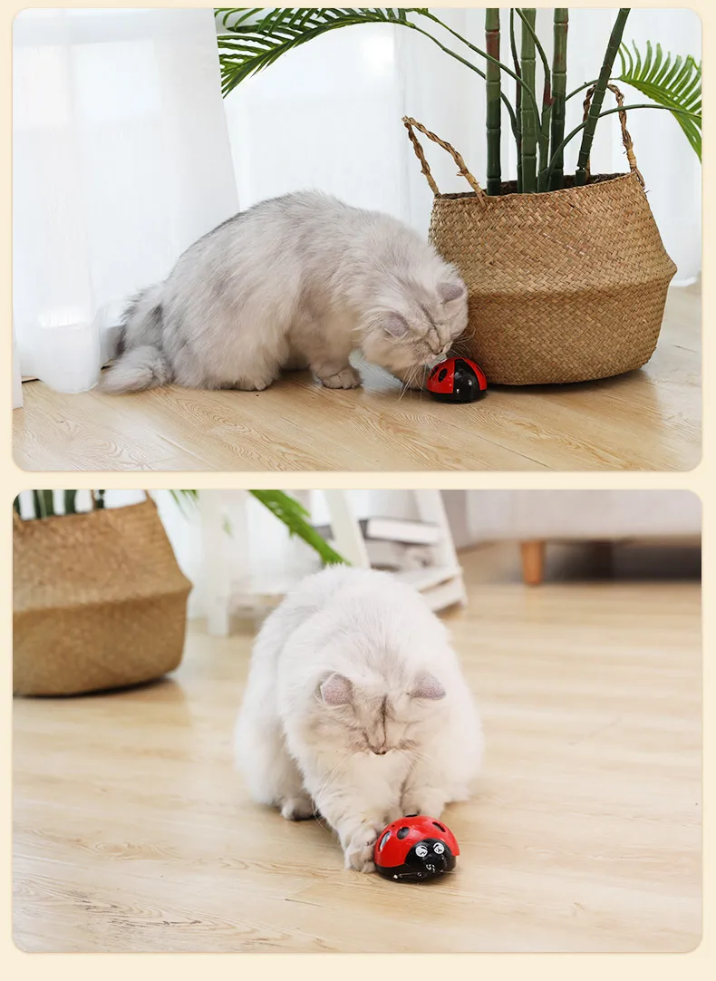 详情_O1CN01w3pzDK1q0omKWgxnn___2019505434