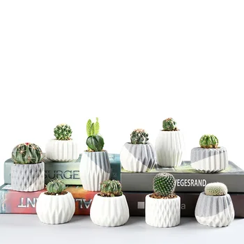 

Flower Pot Nordic Ins Fleshy White Home Interior Ceramic Pots Succulent Planter Plant Pot Geometric Terrarium Pot