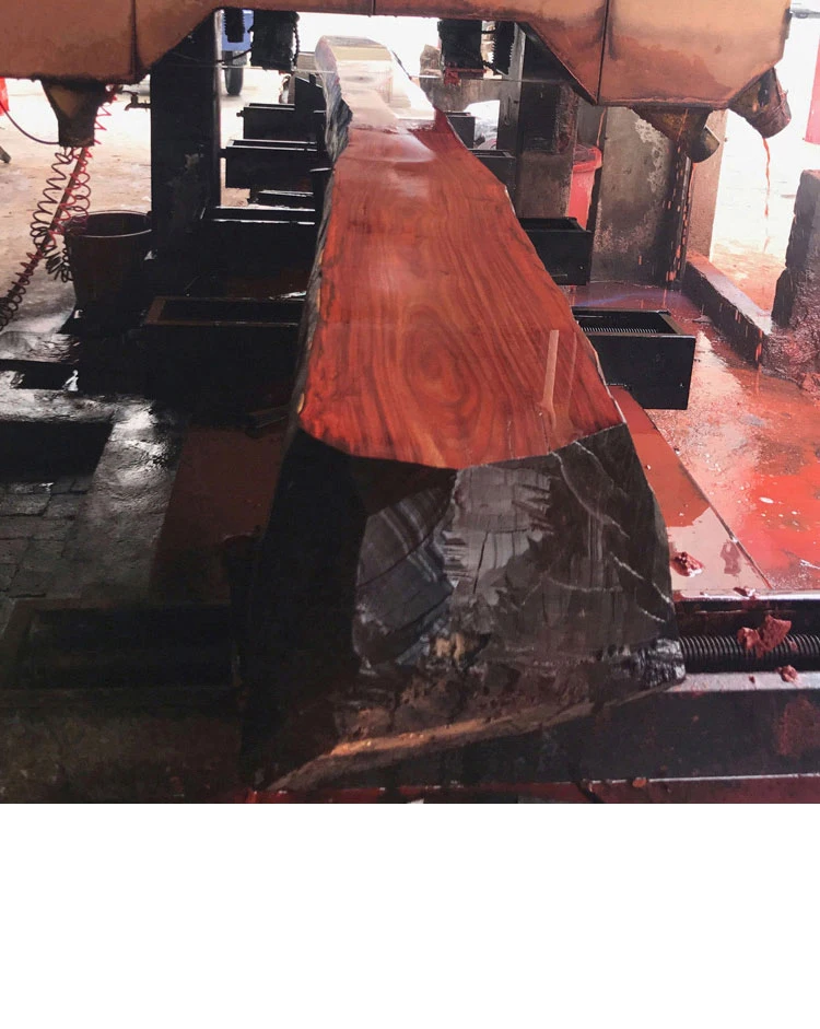 Band Saw Blade 4