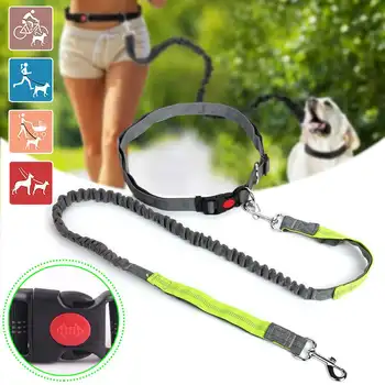 

Pet Dog Elastic Belt Running Leash Set Hands Outdoor Dog Leashes Collar Pets Accessories Jogging Lead Adjustable Waist Rope